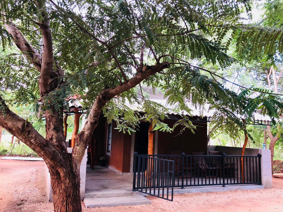 The Summer Corridor - Kataragama Exterior photo