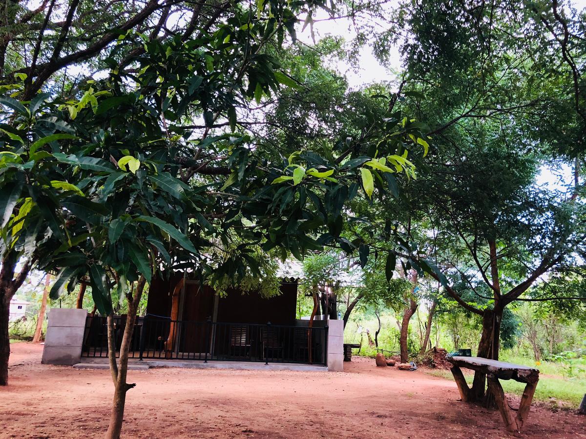 The Summer Corridor - Kataragama Exterior photo
